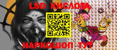 jwh Гатчина