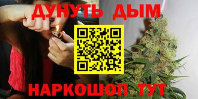 jwh Гатчина