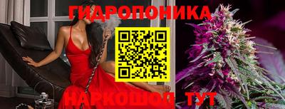 jwh Гатчина