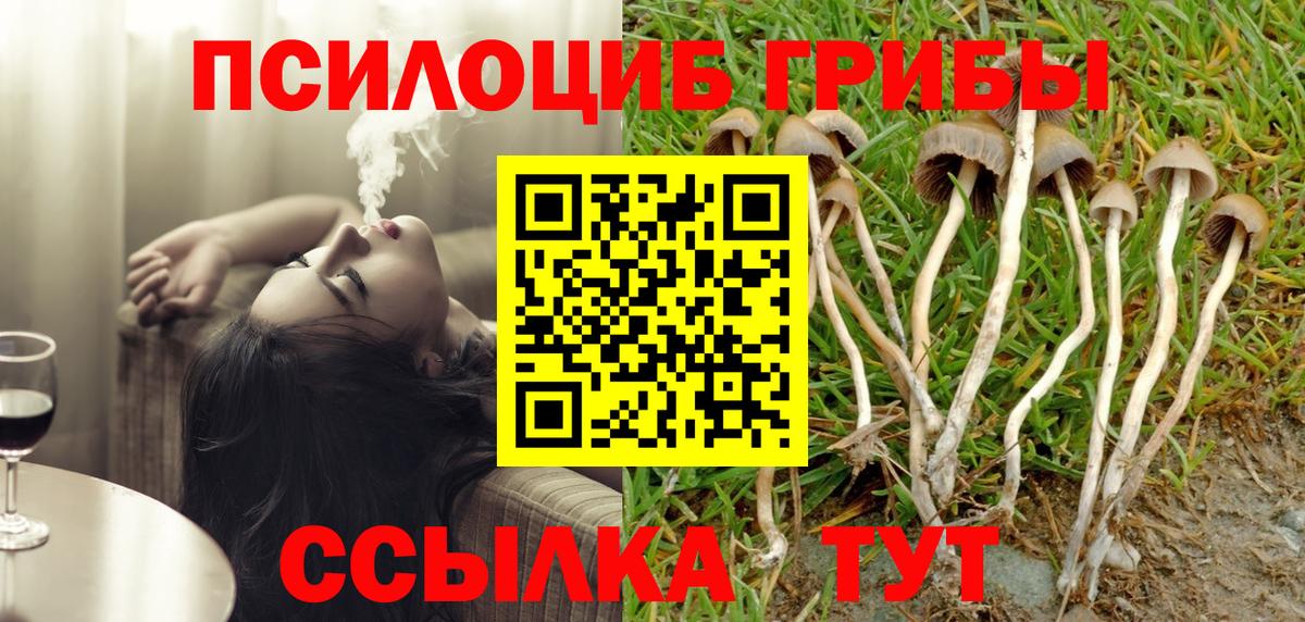 Псилоцибиновые грибы MAGIC MUSHROOMS Новокубанск