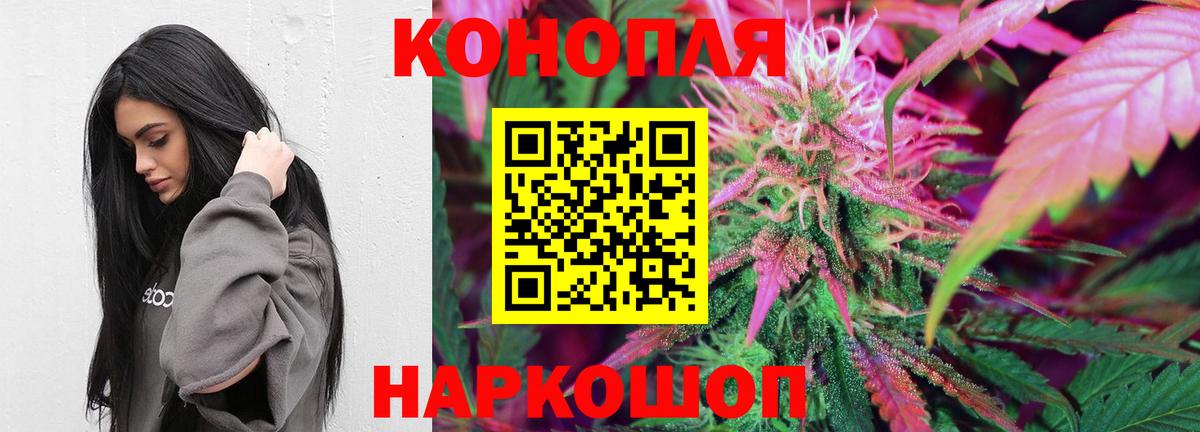 Новокубанск  Конопля ГИДРОПОН  Вход с VPN  Каннабис конопля  Марихуана план 